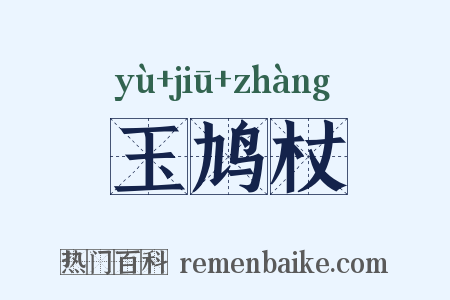 玉鸠杖是什么意思的图片